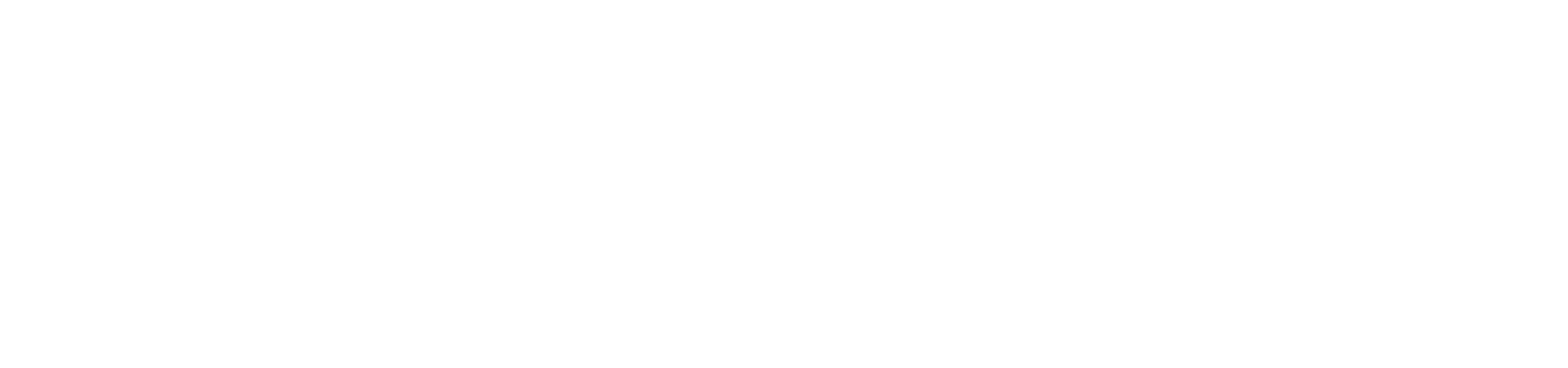 Lynx Logo_White